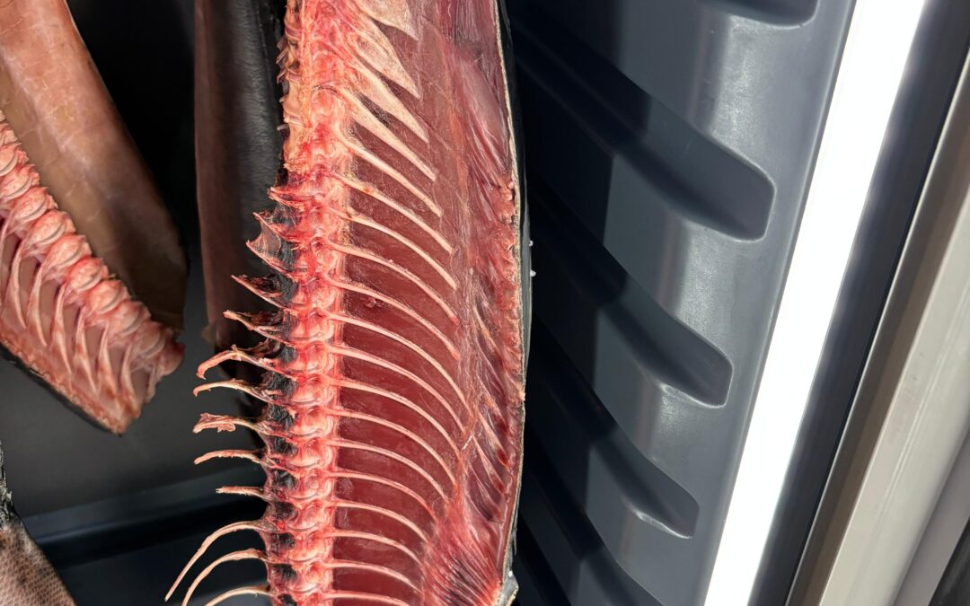 Dry-Aged Fish: A New Way to Experience Seafood