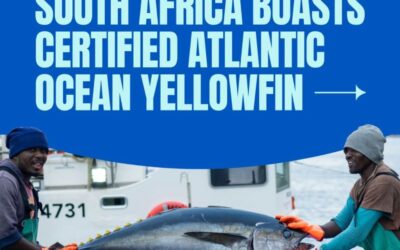 Better Tuna, Better Oceans: Now at Ocean Jewels